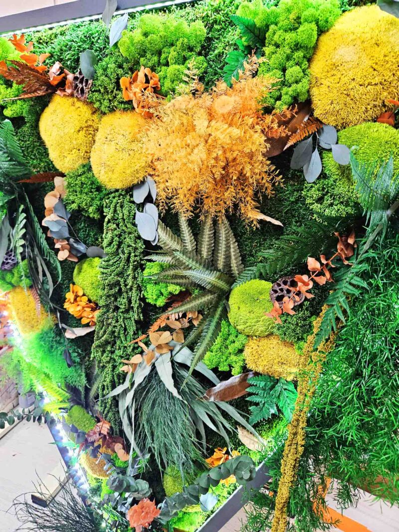 TABLOU TRIUNGHI CU MUSCHI SI PLANTE STABILIZATE3