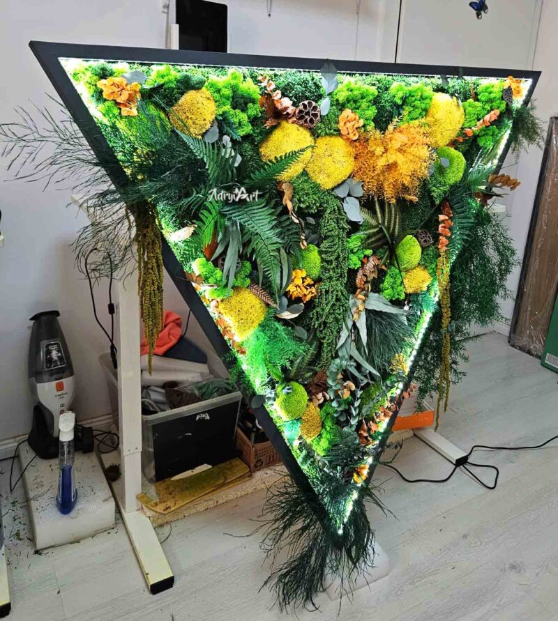 TABLOU TRIUNGHI CU MUSCHI SI PLANTE STABILIZATE4