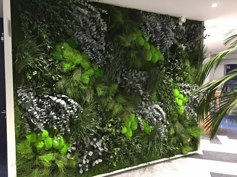 perete verde jungle cu plante stabilizate si muschi2