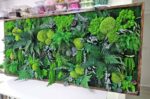 tablou cu licheni muschi si plante cu led integrat2