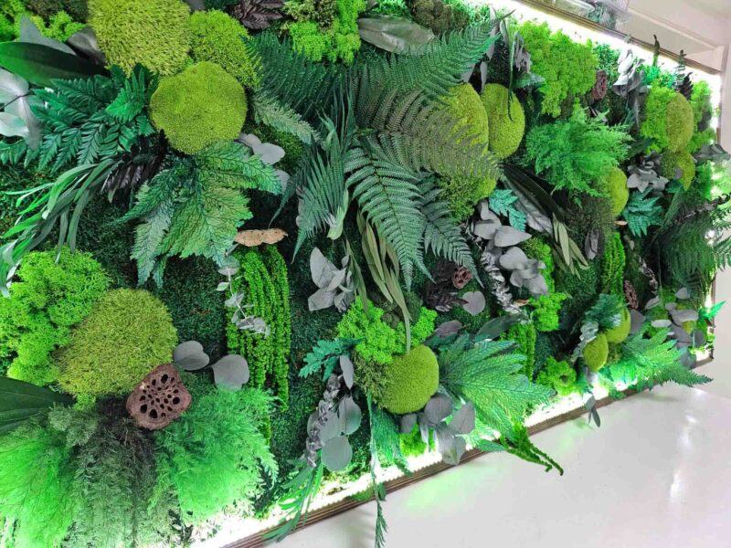 tablou cu licheni muschi si plante cu led integrat4