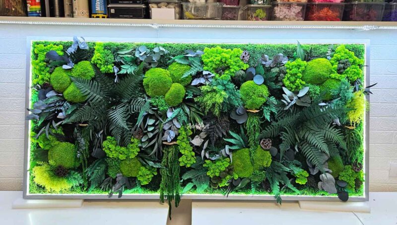 tablou cu licheni muschi si plante cu led integrat