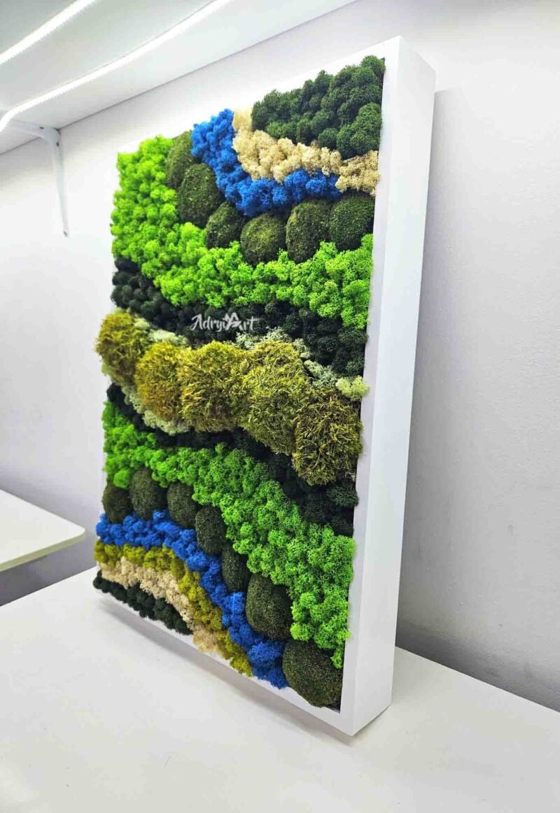 tablou cutie cu licheni si muschi2