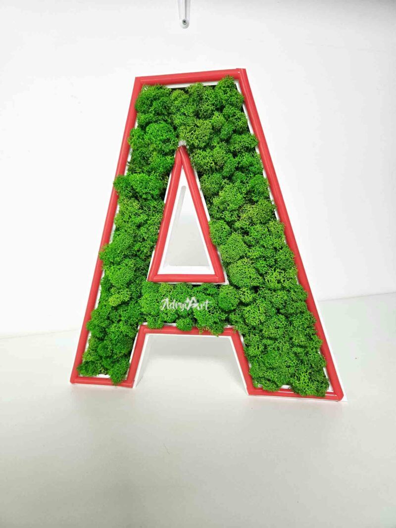 litere cu licheni si led2