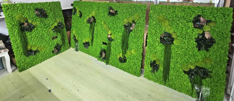 perete verde cu licheni si amaranthus2