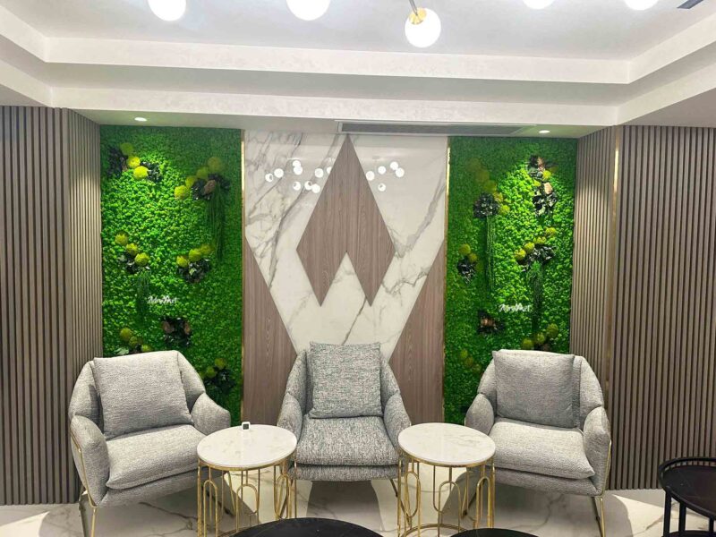 perete verde cu licheni si amaranthus4