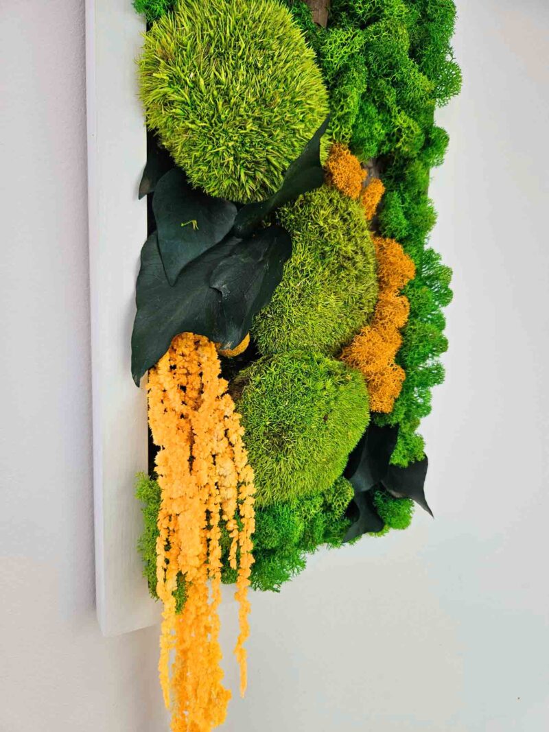 tablou cu licheni si amaranthus galben2