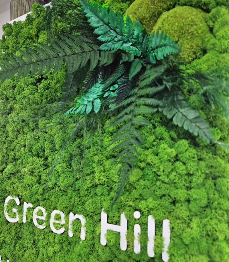 tablou cu licheni si text2