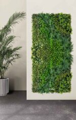 perete verde artificial greenfern1