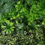 perete verde artificial greenfern2