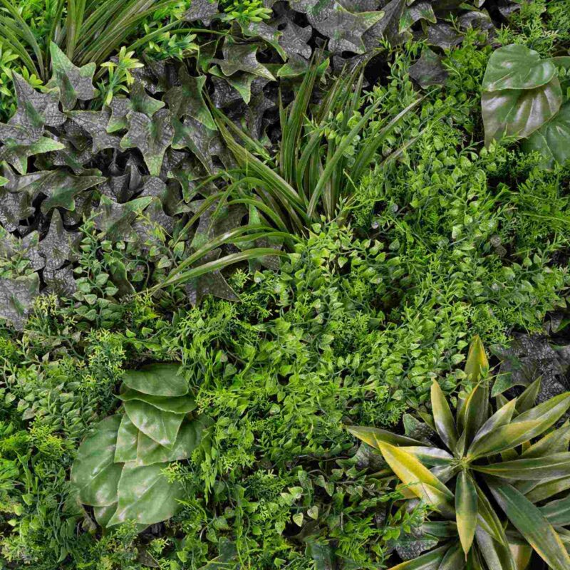 perete verde artificial ivy2
