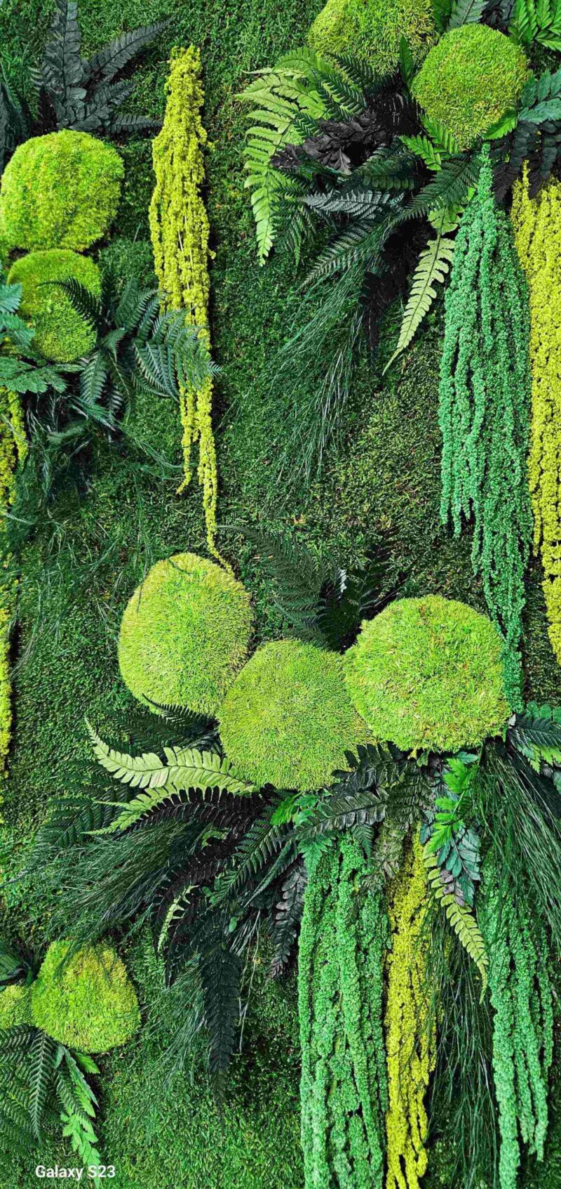 panou baie cu muschi si amaranthus3 scaled