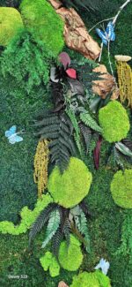 tablou cu licheni butterfly2 scaled