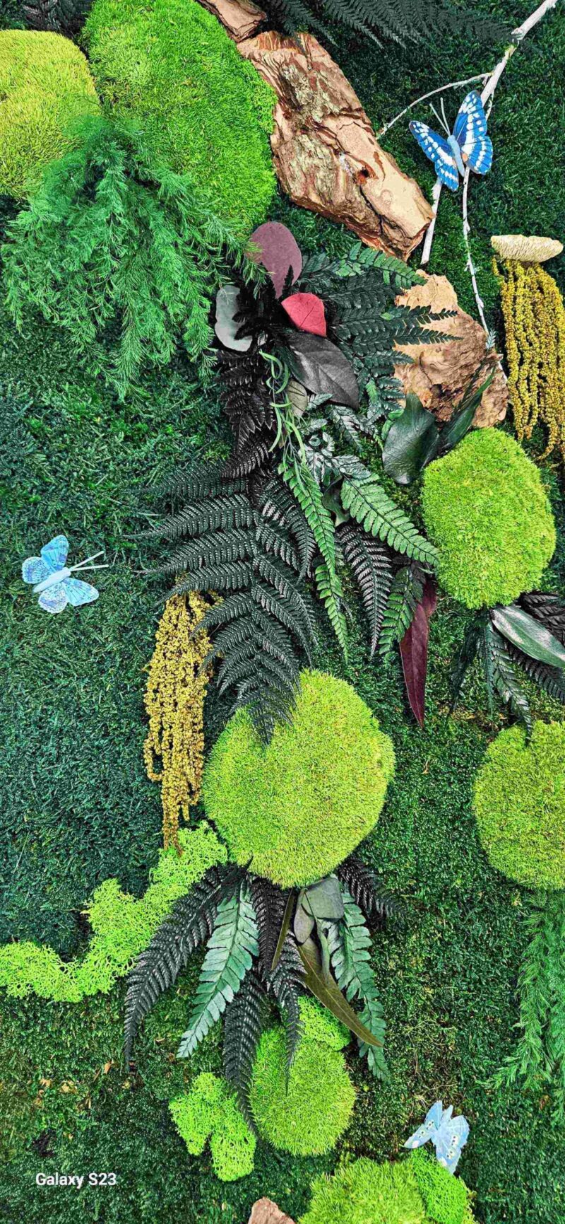 tablou cu licheni butterfly2 scaled