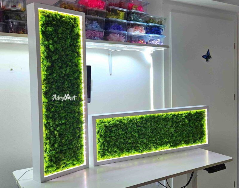 tablou licheni cu led tip cutie1