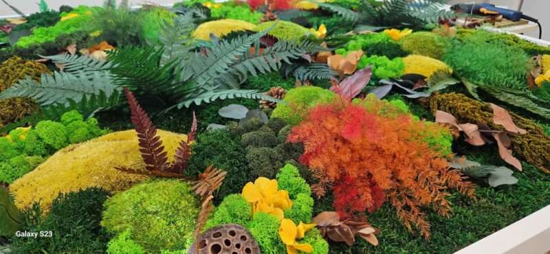 tablou cu licheni si muschi autumn4