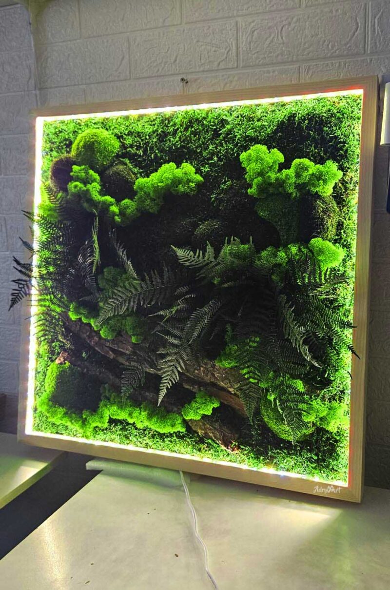 tablou cu licheni si scoarta