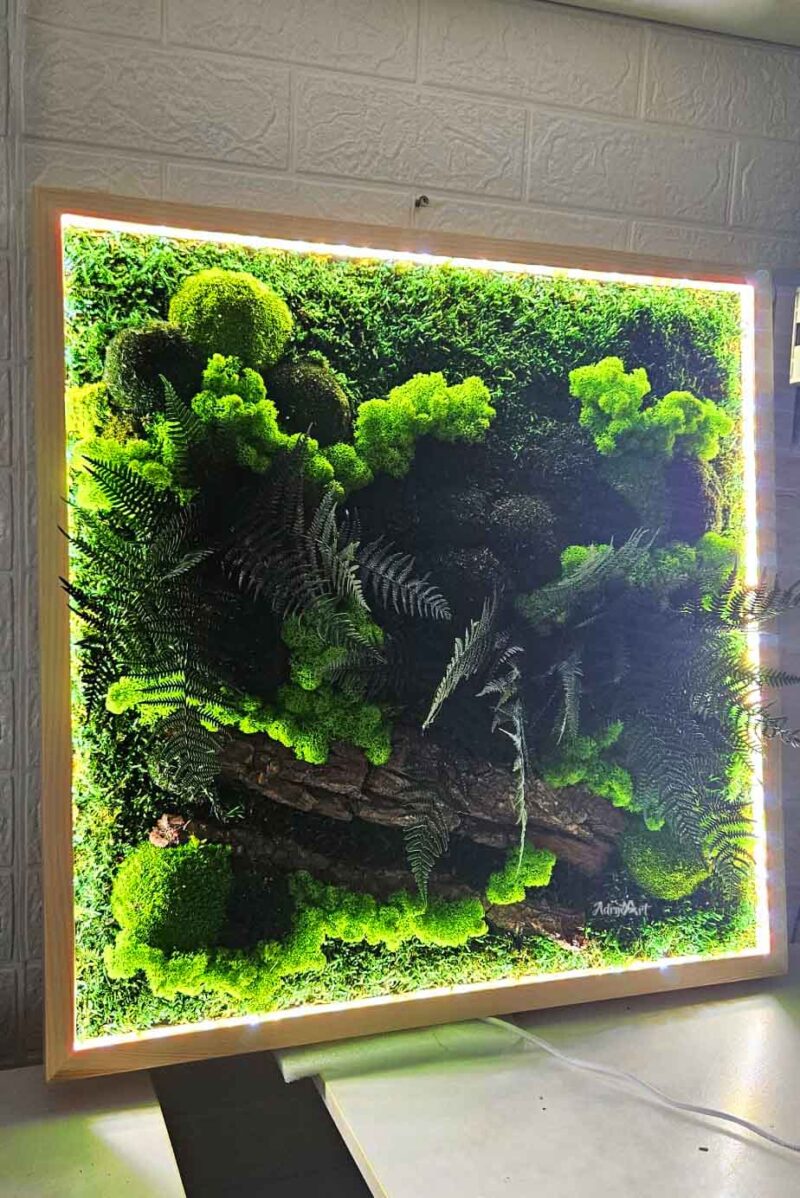 tablou cu licheni si scoarta