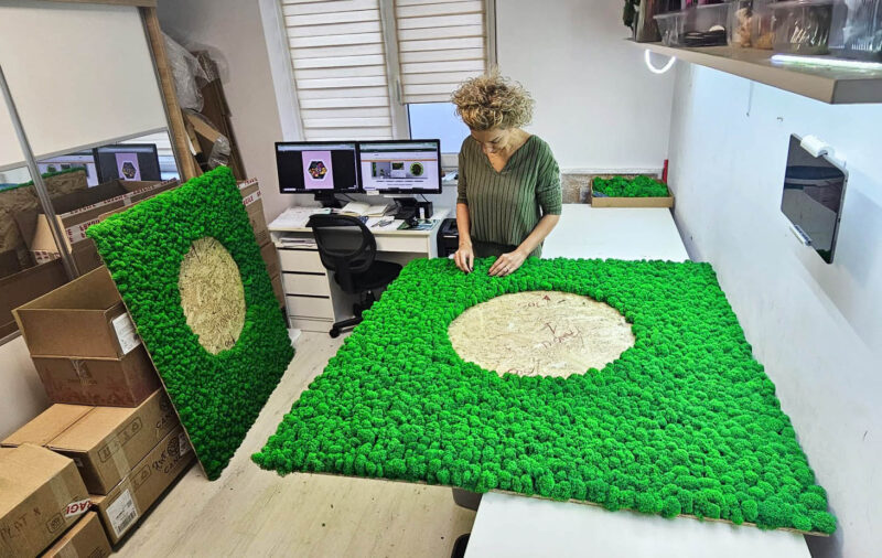 paou baie cu licheni stabilizati