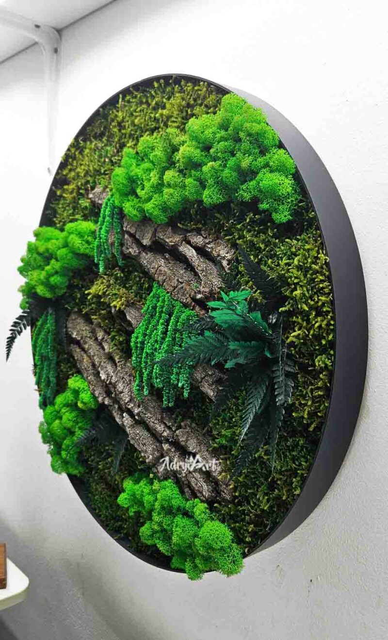 tablou cu licheni scoarta si amaranthus