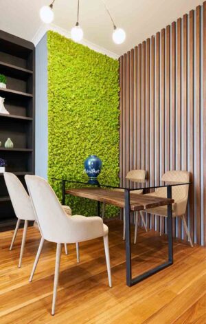 perete licheni grenlime