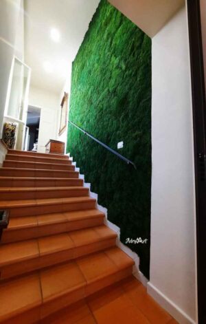 perete verde cu muschi