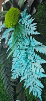 tablou cu licheni si ferigi cyanfern