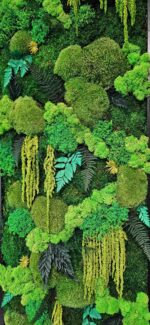 tablou cu muschi naturali si licheni