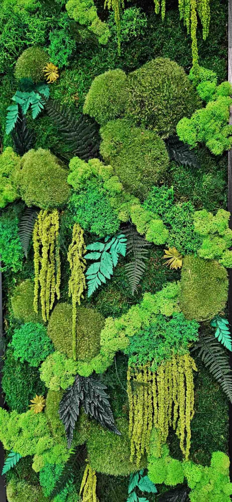 tablou cu muschi naturali si licheni