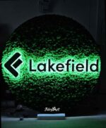 tablou rotund cu licheni si led