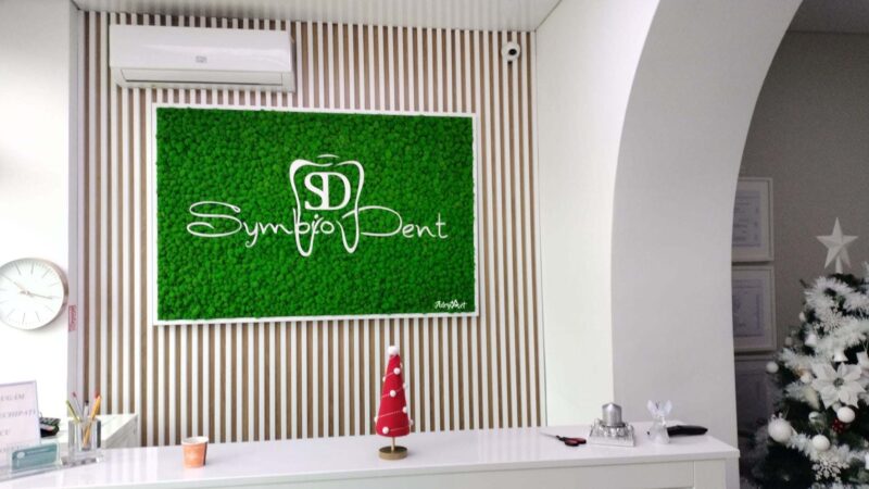 tablou cu licheni symbio