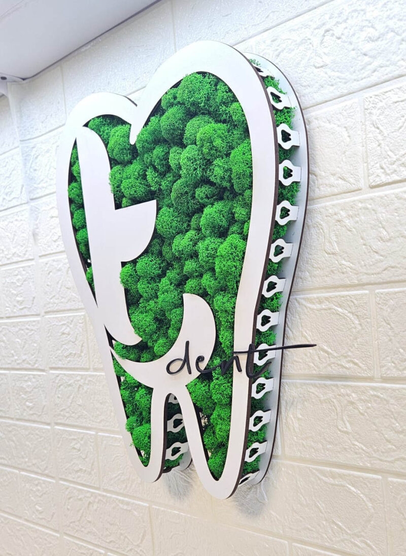 tablou dinte cu logo si licheni