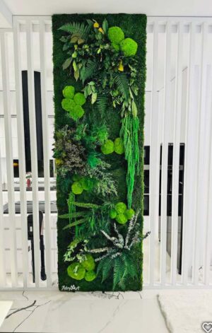 perete licheni cu muschi si plante