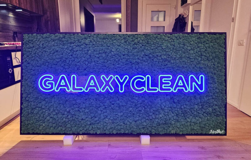 tablou cu licheni si sigla neonledG