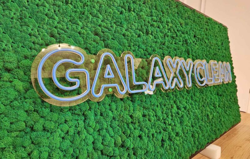 tablou cu licheni si sigla neonledG