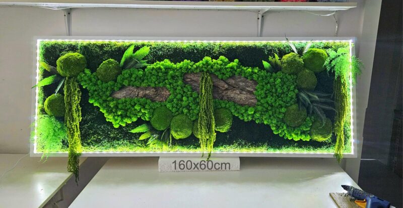 tablou cu licheni si led forestjump