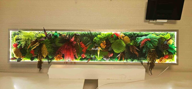 tablou cu muschi licheni si led at