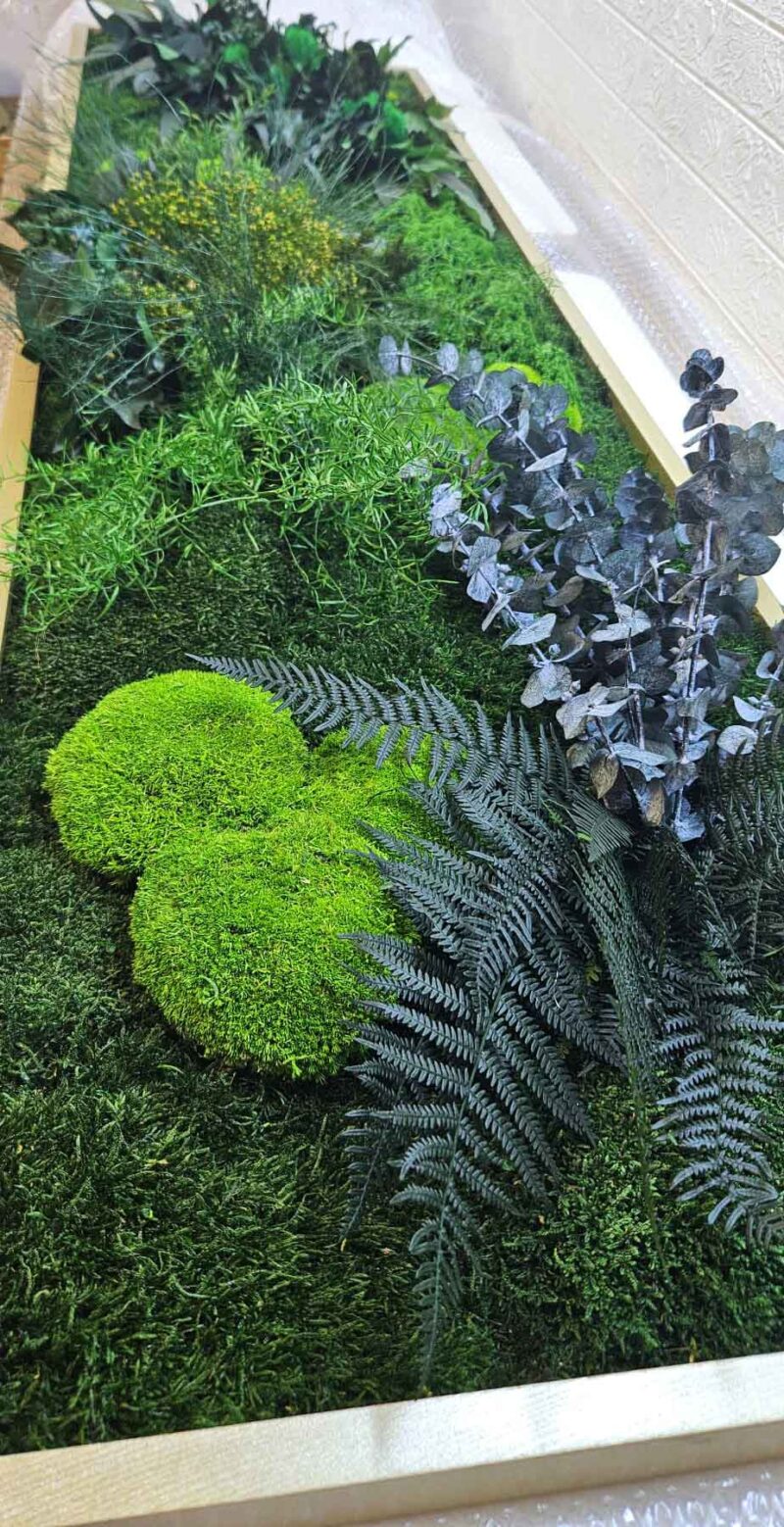 tablou cu muschi si plante stabilizate aur