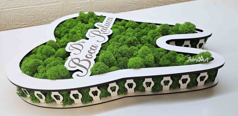 tablou dinte cu logo si licheni