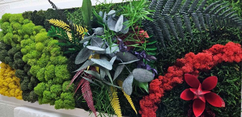 tablou licheni colorati si plante
