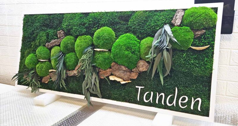 tablou licheni cu logo tandem