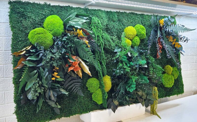 panou cu muschi si plante colorate