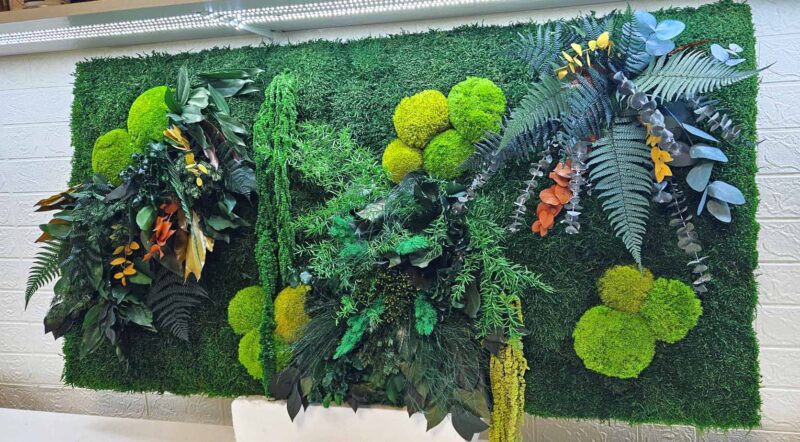 panou cu muschi si plante colorate