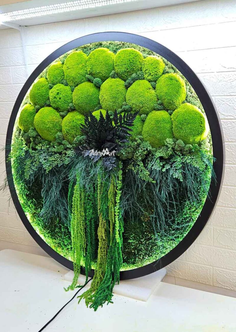 tablou cu licheni muschi si led