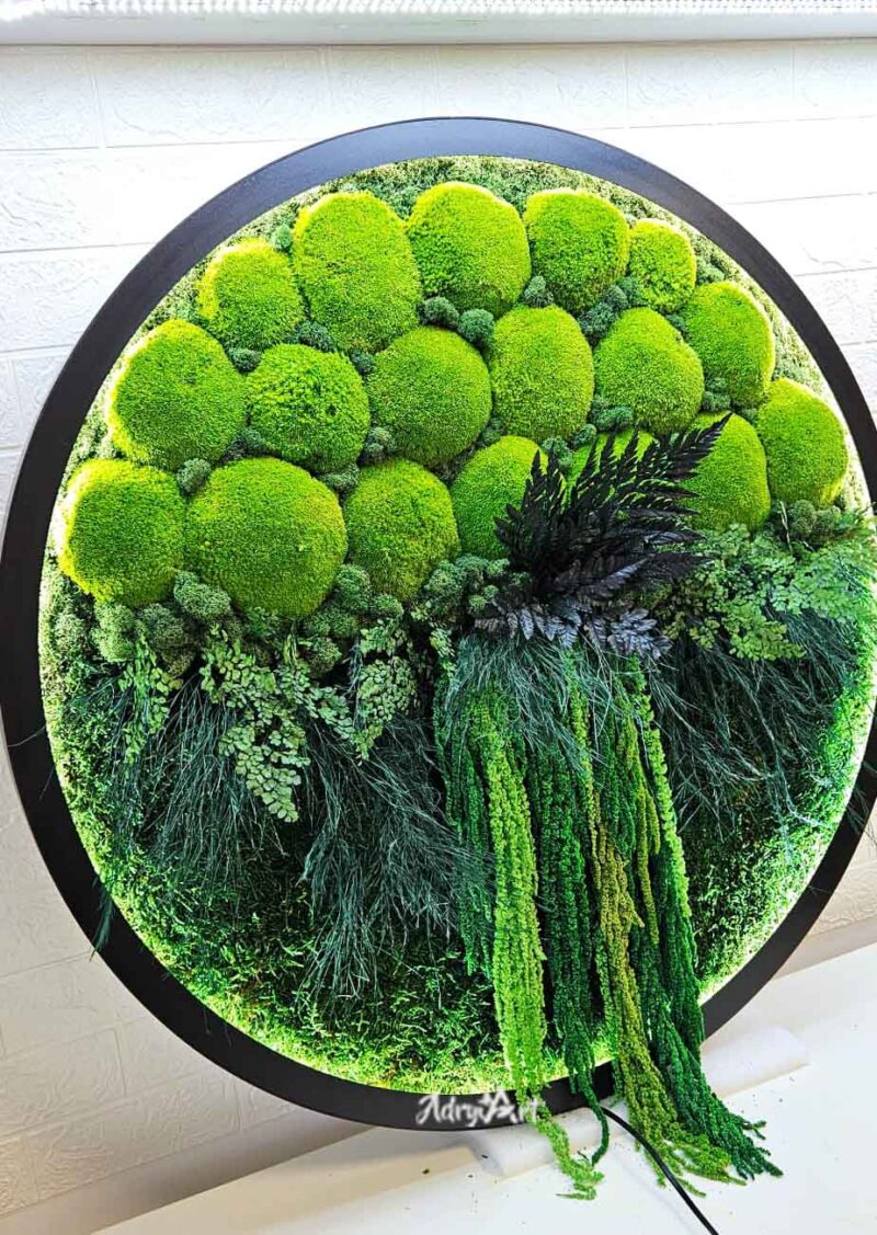 tablou cu licheni muschi si led