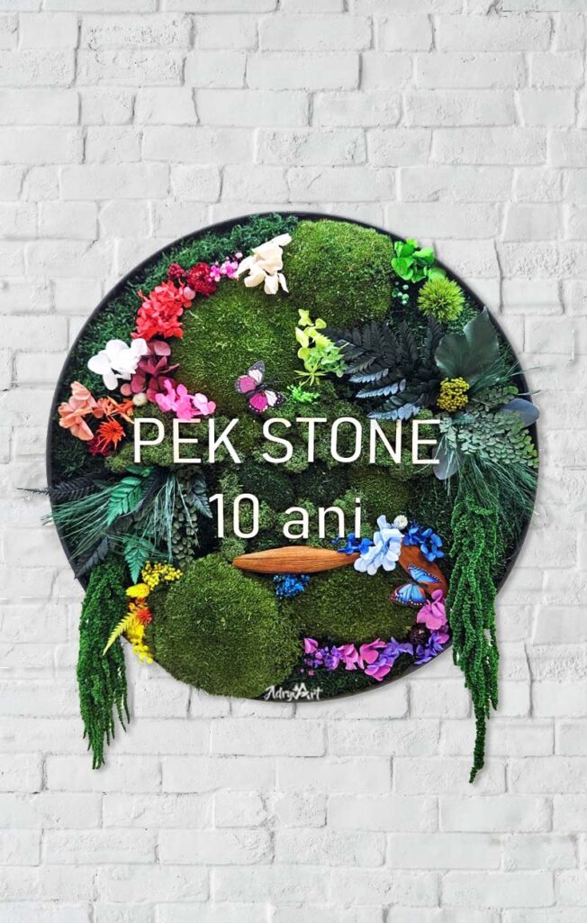 tablou cu muschi flori si sigla