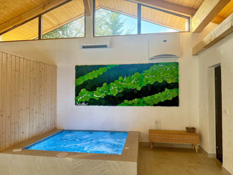perete licheni cu muschi piscina