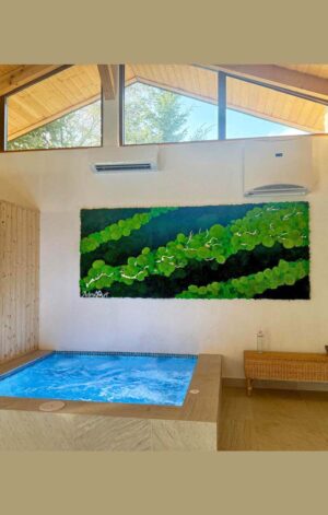 perete licheni cu muschi piscina