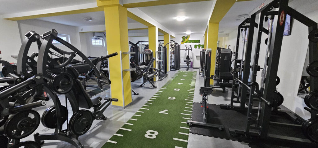 logo cu licheni gym