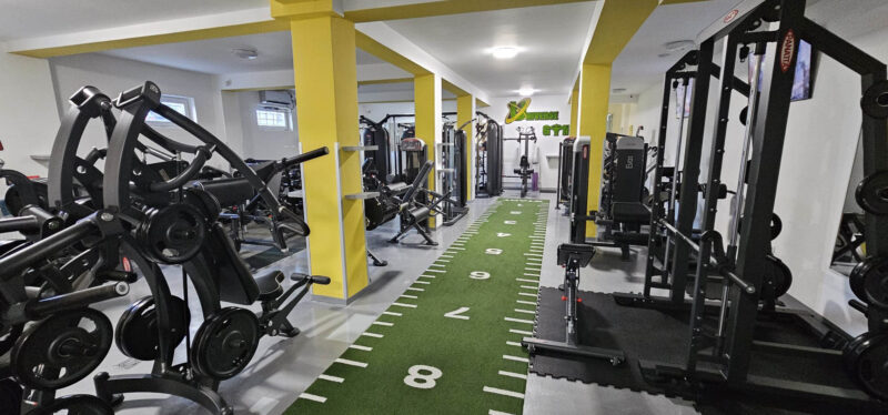 logo cu licheni gym